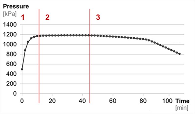 Schematischer Verlauf einer Druckkurve der Oxidationsstabilitätsmessung mit dem Messgerät (Bild: Anton Paar).