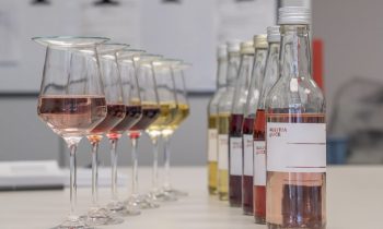 Der Trend zu Nolo-Getränken eröffnet auch Potenziale für alkoholfreie Varianten von Fruchtweinen und Seccos (Bild: Austria Juice).