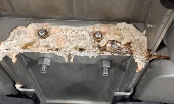 Gefahr für Produkt und Personal: Dieser Biofilm wuchs nach der Reinigung auf einer feuchtwarmen Edelstahlfläche, sofortige Reinigungsmaßnahmen mussten getroffen werden (Bild: Lars Peuker).