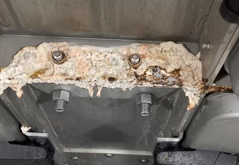 Gefahr für Produkt und Personal: Dieser Biofilm wuchs nach der Reinigung auf einer feuchtwarmen Edelstahlfläche, sofortige Reinigungsmaßnahmen mussten getroffen werden (Bild: Lars Peuker).