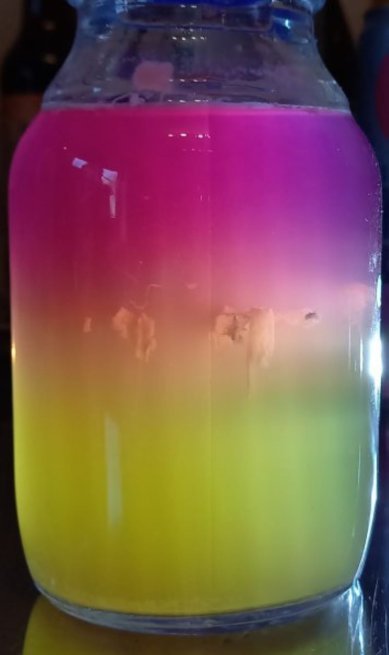 Beispiel für einen einfachen Nachweis: Das Bild zeigt das Wachstum in einer Probe mit Spezialnährmedium (Bild: Lars Peuker).