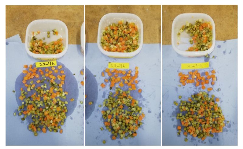 Alle drei Versuche mit Förderraten von 2,8, 6,5 und 9,0 Kubikmetern pro Stunde zeigten, dass die Stückigkeit der Gemüseeinlage erhalten bleibt (Bild: Wangen Pumpen).