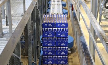 Die Systemintegration sorgte dafür, dass die Ein- und Ausschleusung der Waren bei den Palettieranlagen für Joghurt und Milch auch weiterhin reibungslos funktioniert (Bild: NÖM/Pilz).