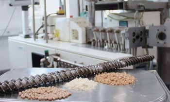 Mit der speziellen Extrusionstechnologie entstehen Fleischalternativen, z. B. aus Erbse, Lupine, Weizen oder Bohne mit einer faserigen und fleischähnlichen Textur (Bild: Fraunhofer IVV).