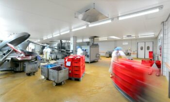 Die leistungsfähige Bodensystemreihe wurde für die besonderen Bedingungen in der Lebensmittelproduktion entwickelt (Bild: KLB Kötztal).