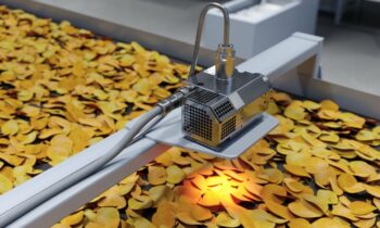 Der Fettgehalt und/oder Feuchteanteil spielen auch bei der Lebensmittelproduktion eine große Rolle. Hier misst das NIR-Spektrometer zum Beispiel den Fettgehalt von Kartoffelchips in einer End-of-Line-Kontrolle (Bild: Polytec).