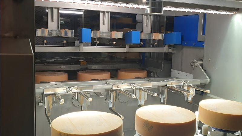 Der Roboter bearbeitet drei Käselaibe auf einmal. Machine-Vision und KI erledigen dabei die Qualitätskontrolle (Bild: MVTec).