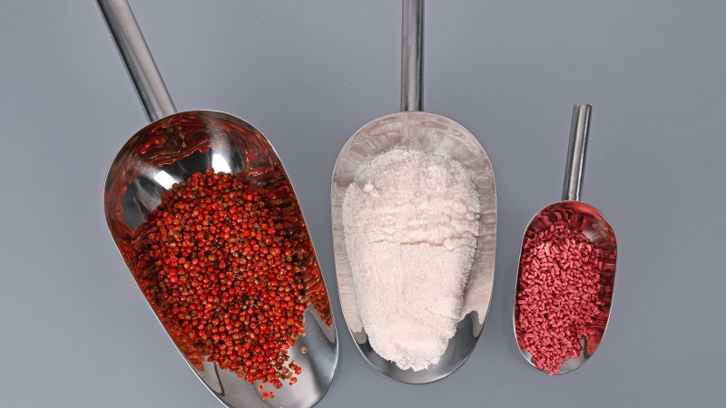 Einige Ausführungen der robusten Edelstahlschaufel für hygienische Anwendungen in der Lebensmittelindustrie (Bild: Bürkle).