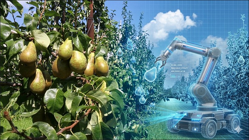 So könnte der Einsatz von Robotern im Obstbau aussehen (Bild: Proefcentrum fruitteelt vzw/computergeneriert).
