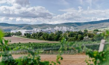 Am Standort Baden/Österreich wird die WMS- und WCS-Lösung eingeführt (Bild: NÖM AG/Mario Pampel).