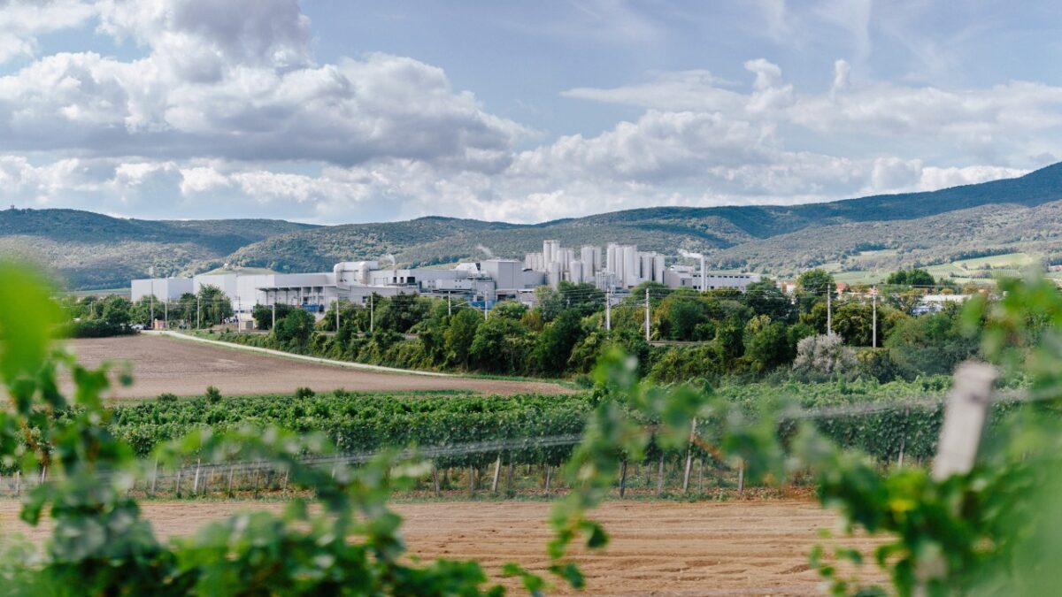 Am Standort Baden/Österreich wird die WMS- und WCS-Lösung eingeführt (Bild: NÖM AG/Mario Pampel).
